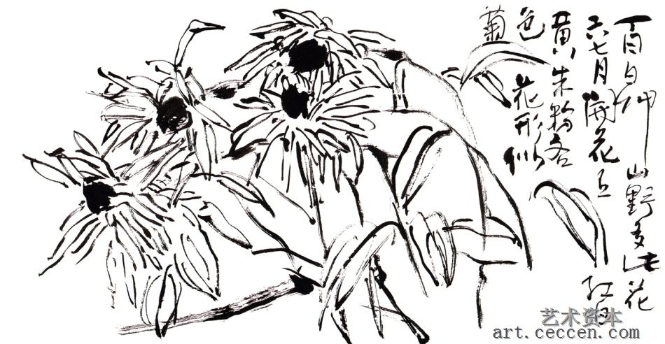 百日草 27x40cm 纸本墨笔 2003年 郭石夫